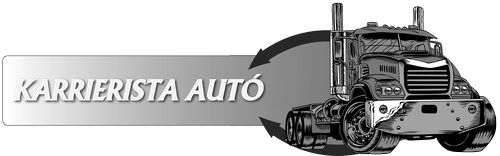 Karrierista Chiptuning